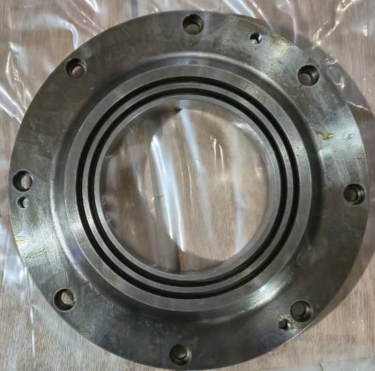 Outer bearing cover DE