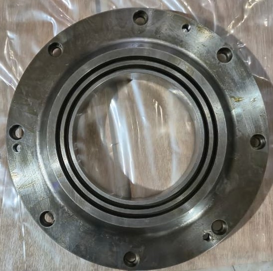 Outer bearing cover DE